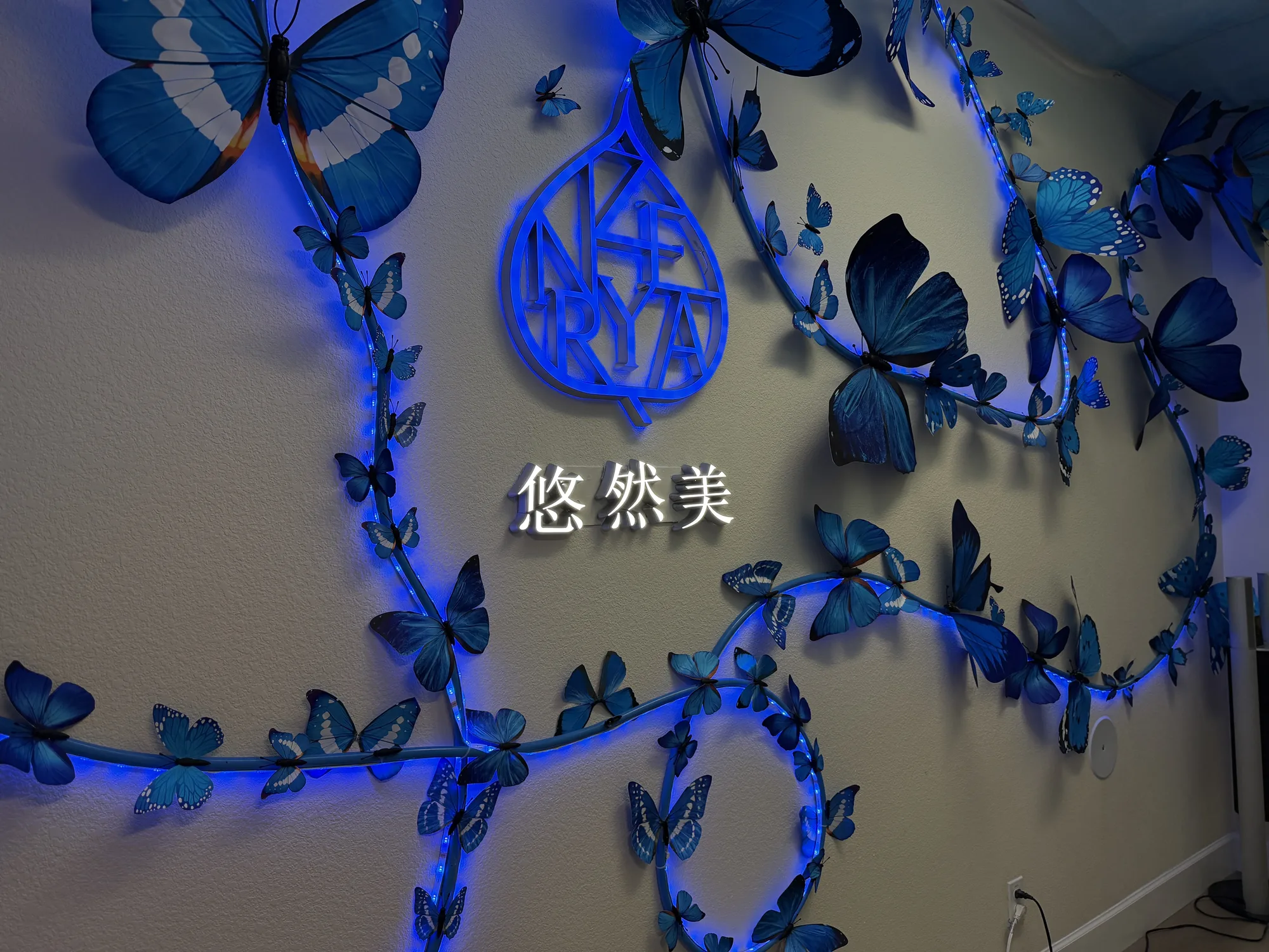 Zenyra butterfly feature wall illuminated in blue